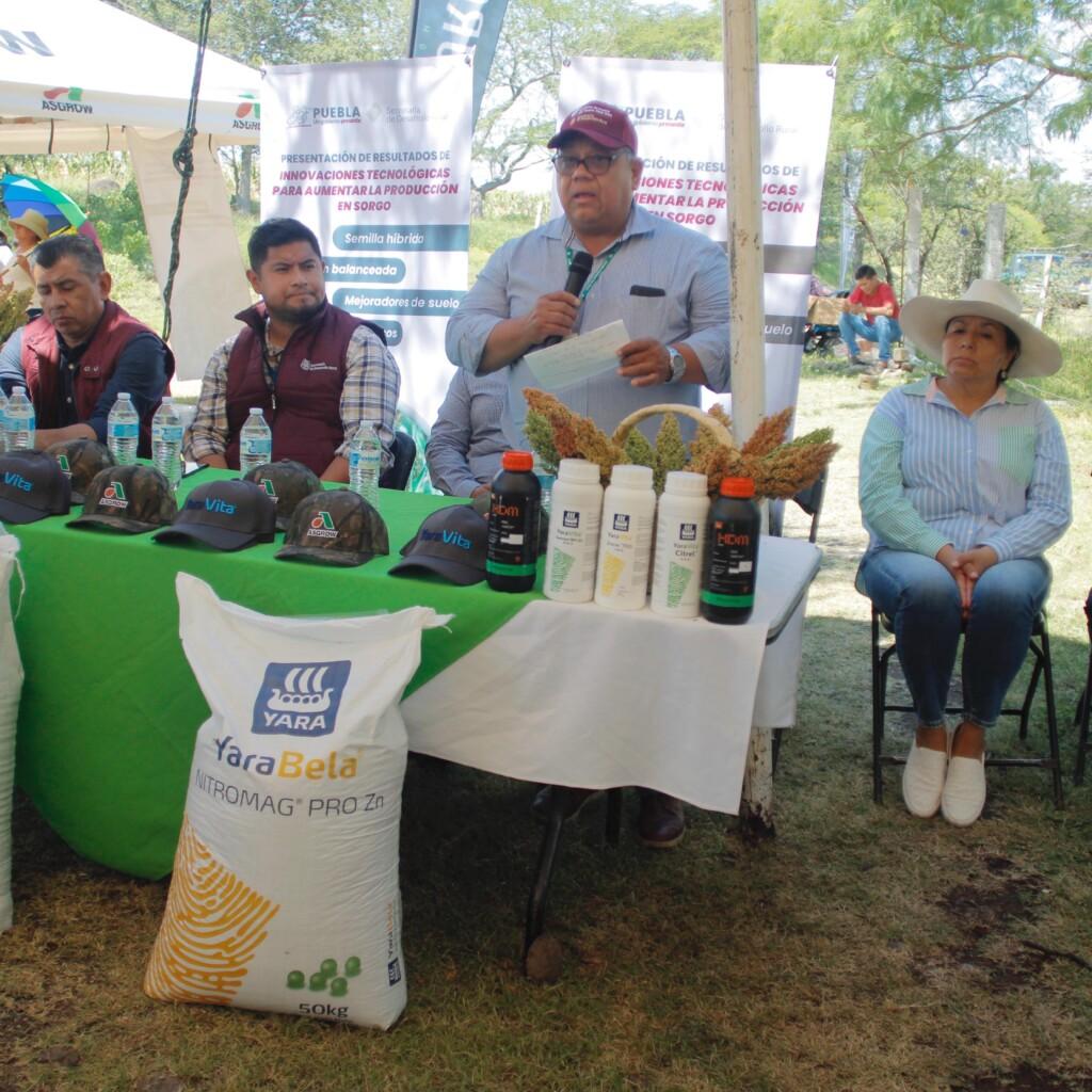 Gobierno de Puebla impulsa producción de sorgo en la Mixteca