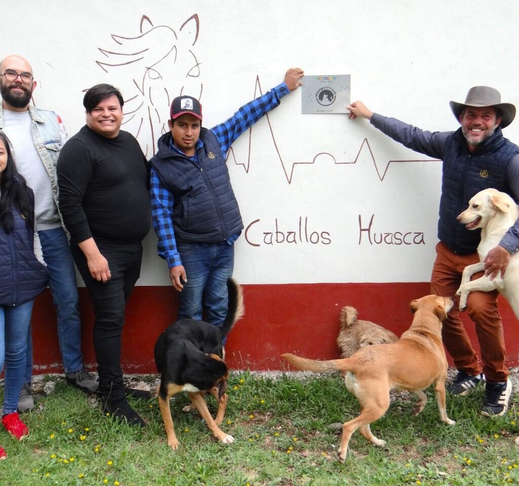 Hidalgo ofrece sitios Pet Friendly. En este mes dedicado a celebrar el amor y la amistad, Hidalgo es el destino