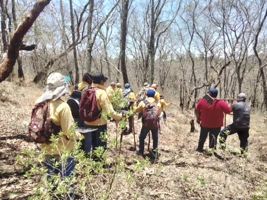 Incendio forestal