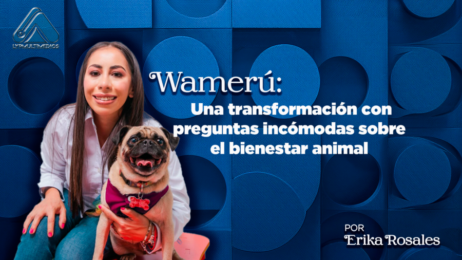WAMERÚ_1_ER