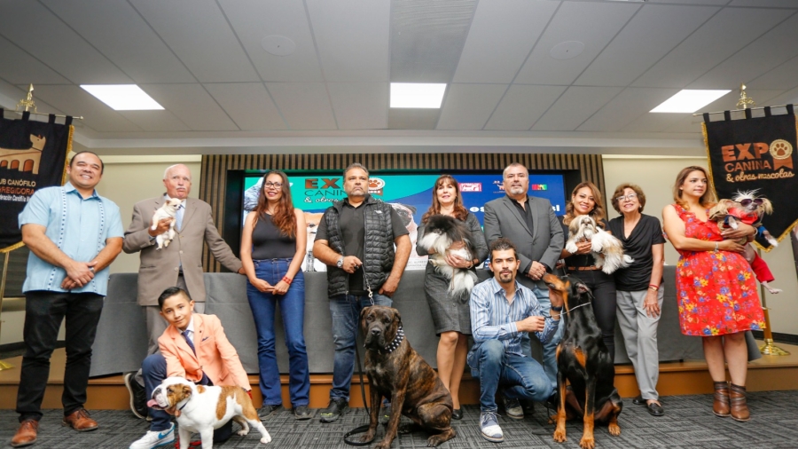 Regresa la Expo Canina 2025 al Querétaro Centro de Congresos: cuatro días dedicados al bienestar y cultura animal