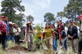 Clara Brugada lanza ambicioso Plan Ambiental para la Ciudad de México: 10 millones de árboles en 2025