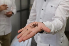 Yucatán inaugura planta que convierte sargazo en biofertilizantes y alimentos para animales