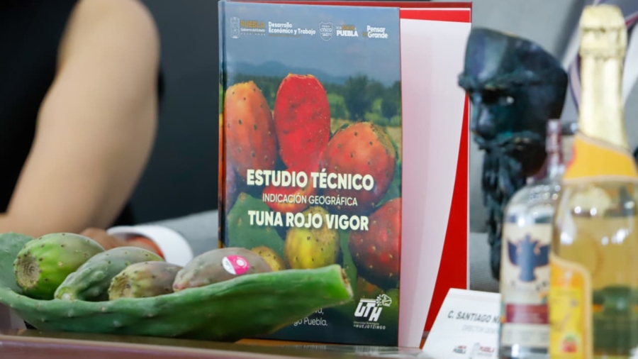Portada_UTH_(4)