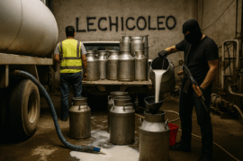 El Lechicoleo: El Emergente Negocio Ilícito del Crimen Organizado en Guanajuato