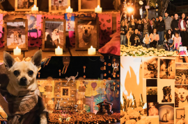 “Huellitas de Luz”: el altar que honra el amor eterno de nuestras mascotas