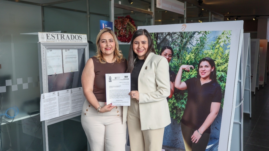 Ley General para la Inclusión de las Personas con Discapacidad