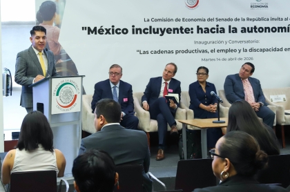 140426 Mexico Incluyente -2