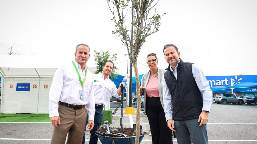 20260422_07_medioambiente_norma_reforestarestacionamientos_01