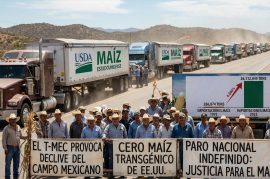 Crisis en el campo: T-MEC detona dependencia histórica; importaciones de maíz crecen 9,000%