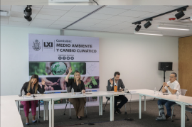 Freno al daño motorizado: Perla Flores propone regular el uso de vehículos todo terreno en la Sierra Gorda y zonas sensibles