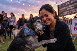 Adopción selectiva en México: Perros rescatados del Metro eligen a sus familias en Campo Marte