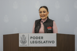 Claudia Díaz Gayou iniciativa vs las pensiones doradas,