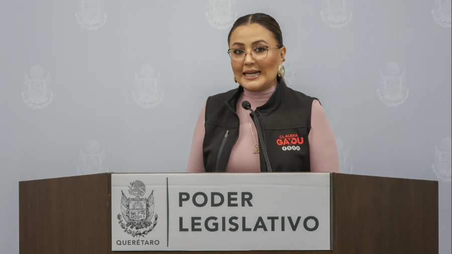 Claudia Díaz Gayou iniciativa vs las pensiones doradas,