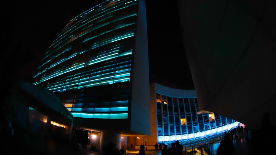 Iluminan el Senado por el Día Internacional del Autocuidado