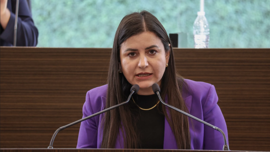 Leonor Mejía logra aprobación del Código Mariposa para Querétaro