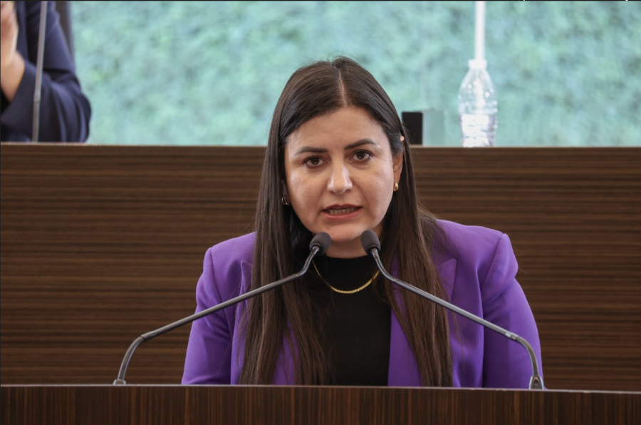 Leonor Mejía logra aprobación del Código Mariposa para Querétaro