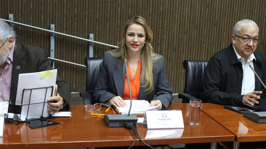 Paulina Aguado en contra de la venta de los predios de propiedad municipal