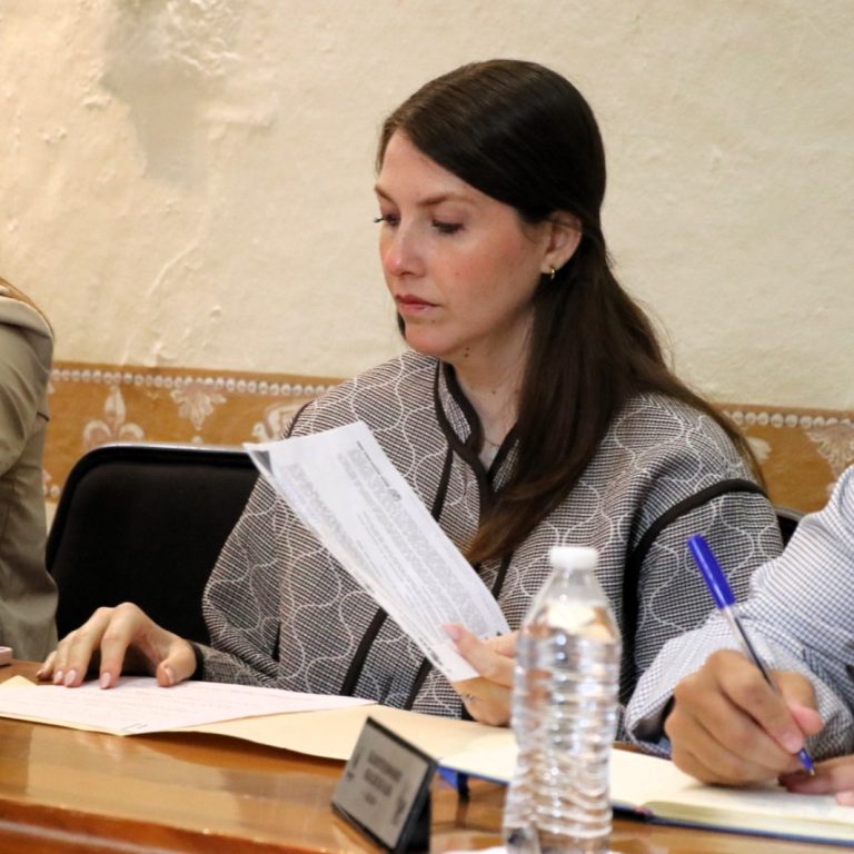 Regidora Higuera revia documentación relacionada con temas de salud mental