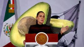 México busca reactivar la exportación de aguacate a Estados Unidos tras suspensión por motivos de seguridad