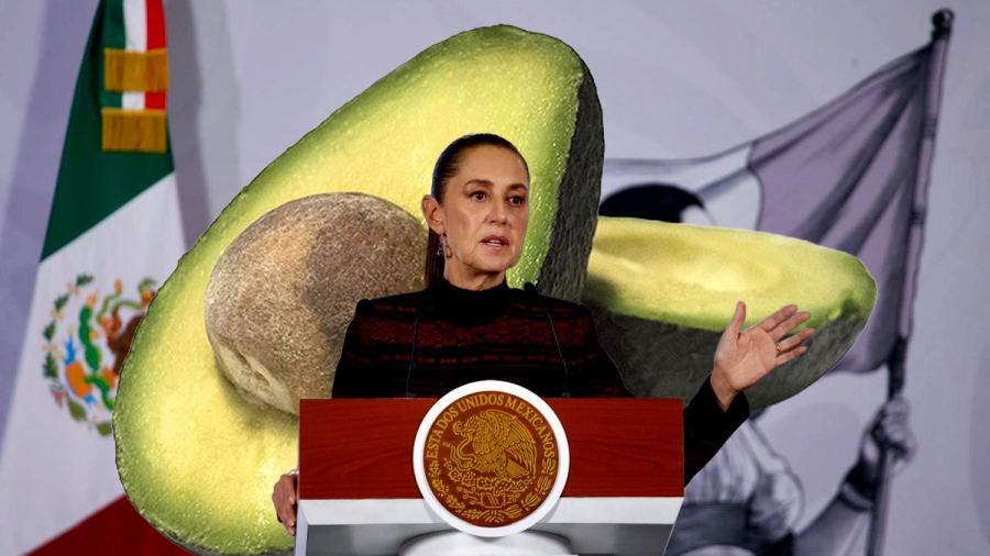 agucata