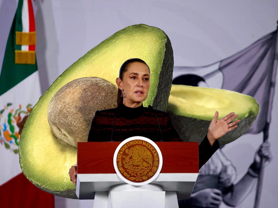 México busca reactivar la exportación de aguacate a Estados Unidos tras suspensión por motivos de seguridad