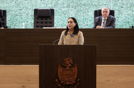 La diputada local Tere Calzada durante su posicionamiento en el pleno del congreso