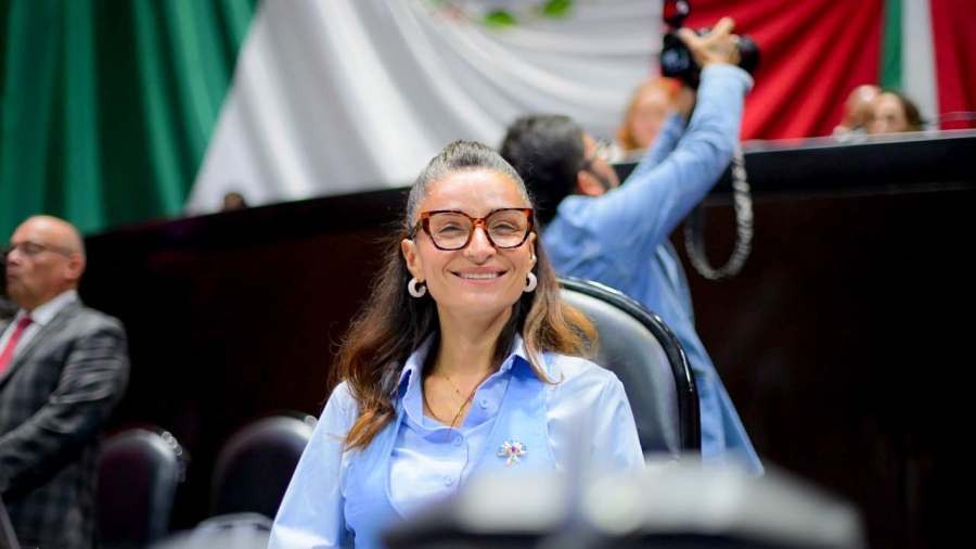 La Diputada Laura Ballesteros desde el pleno de la Cámara de Diputados