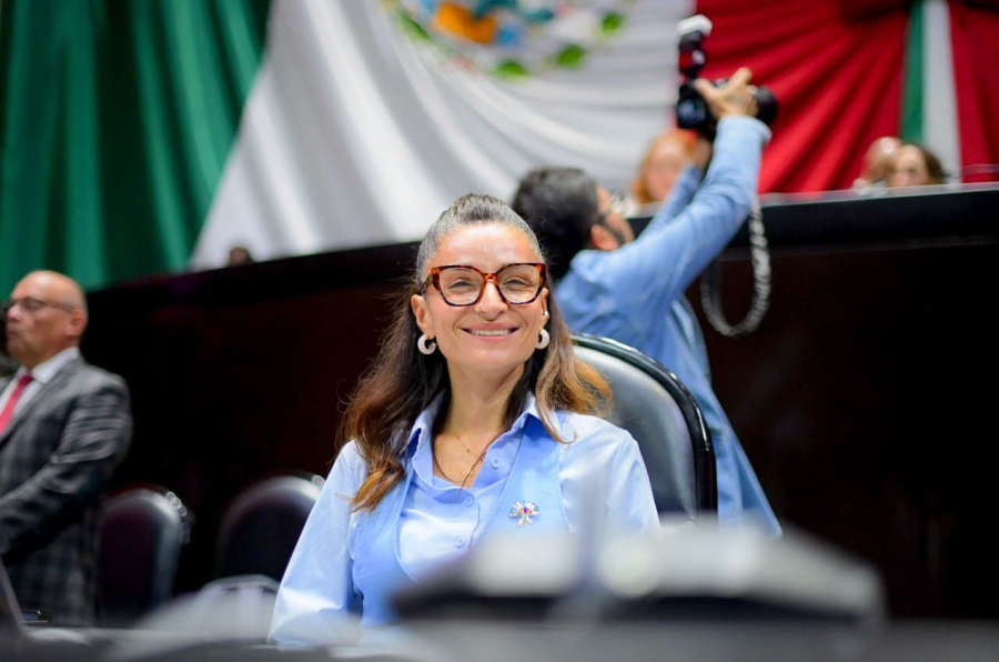 La Diputada Laura Ballesteros desde el pleno de la Cámara de Diputados