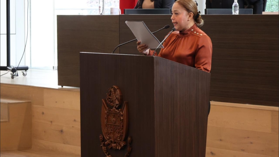 La diputada local Veronica Galicia da su posicionamiento en el pleno de congreso