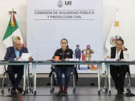 Diputados locales durante la comisión de protección civil