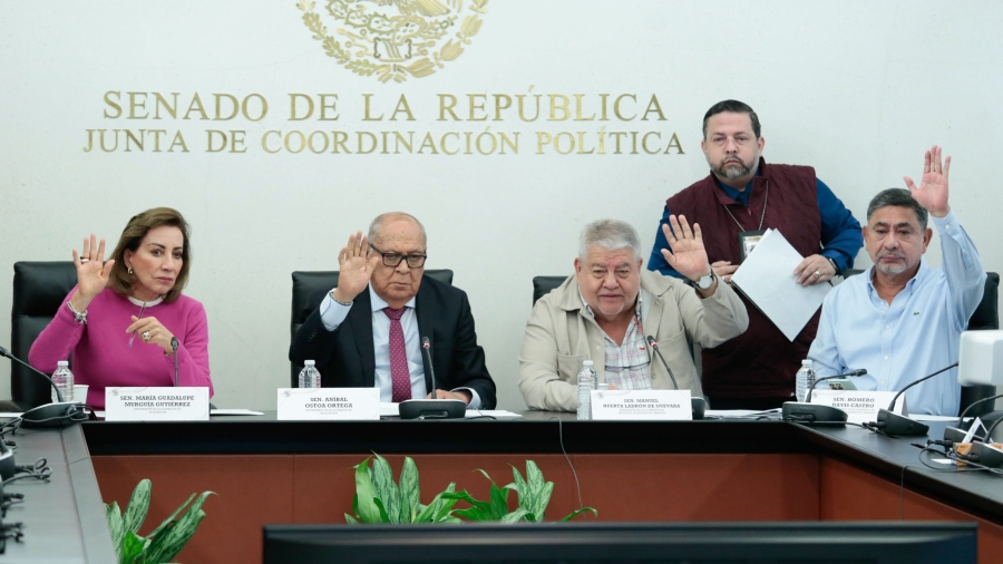 Senadores de la República durante la votación sobre la prohibición de dispositivos digitales en las escuelas
