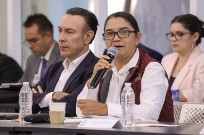 La Diputada Blanca Benitez interviene durante la glosa del v informe