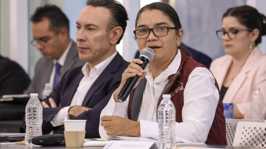 La Diputada Blanca Benitez interviene durante la glosa del v informe