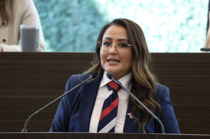 La Diputada Claudia Díaz Gayou en el pleno del Congreso de Querétaro