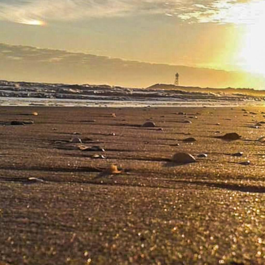 Descubre Tecolutla: Un Oasis de Tranquilidad y Aventura