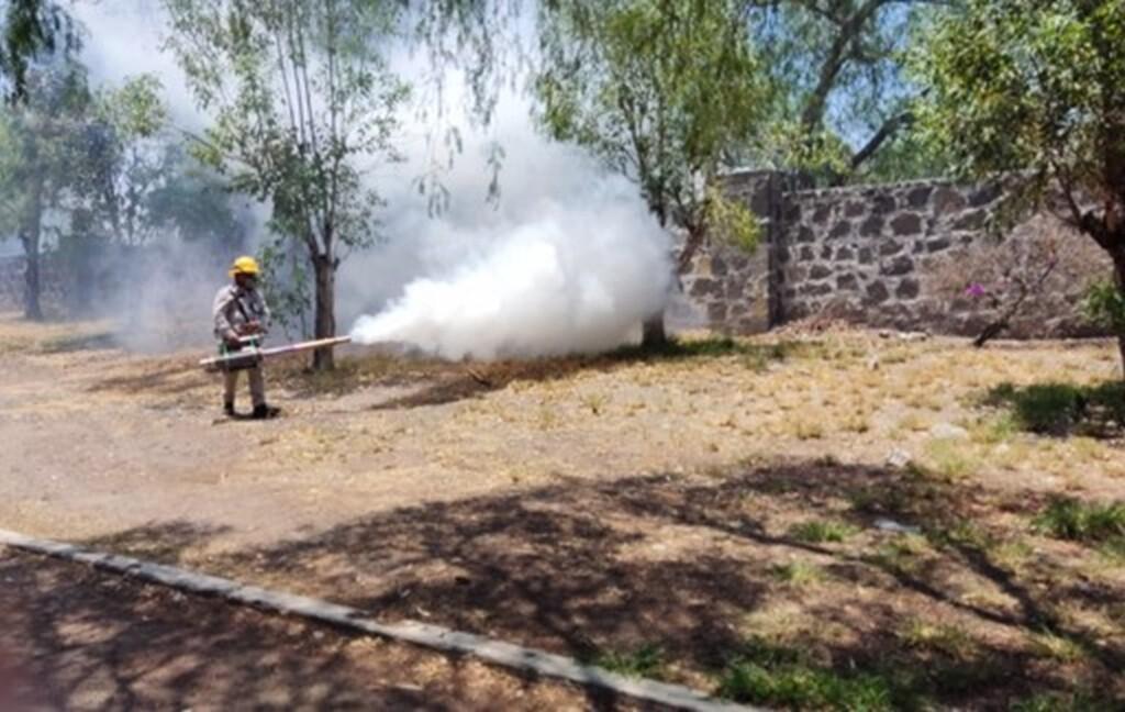 SESA lleva a cabo vigilancia epidemiológica de dengue.