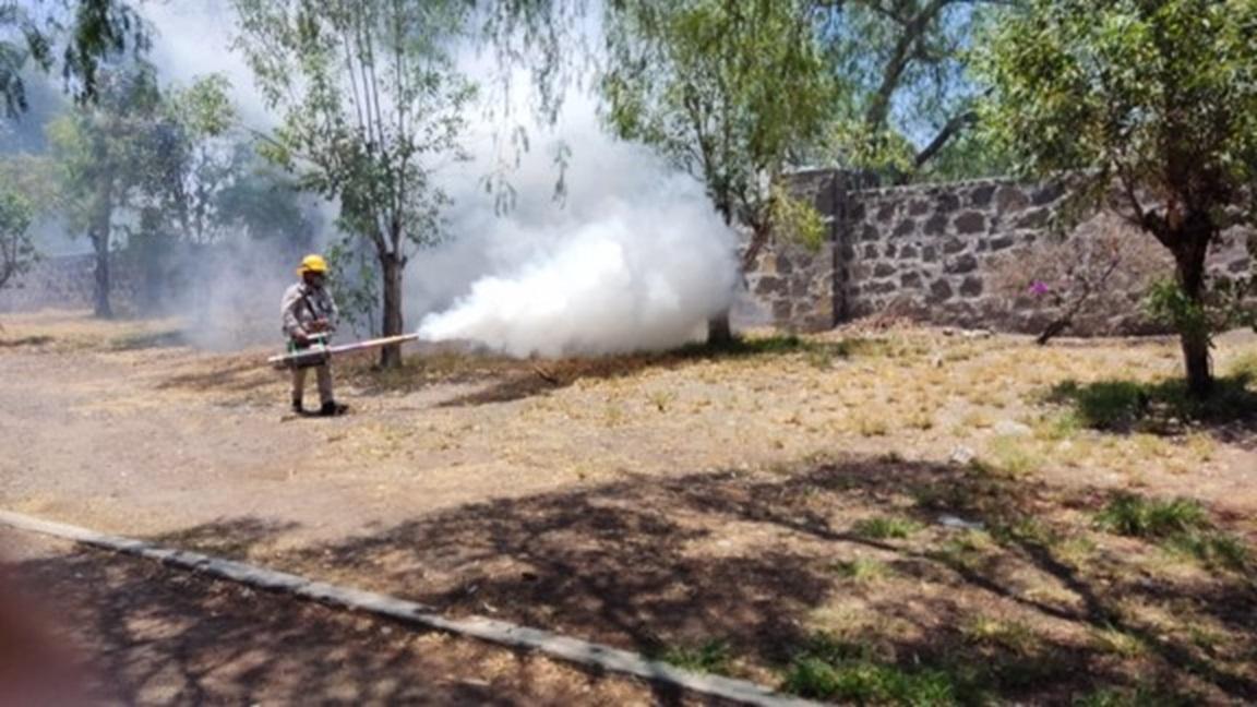 SESA lleva a cabo vigilancia epidemiológica de dengue.