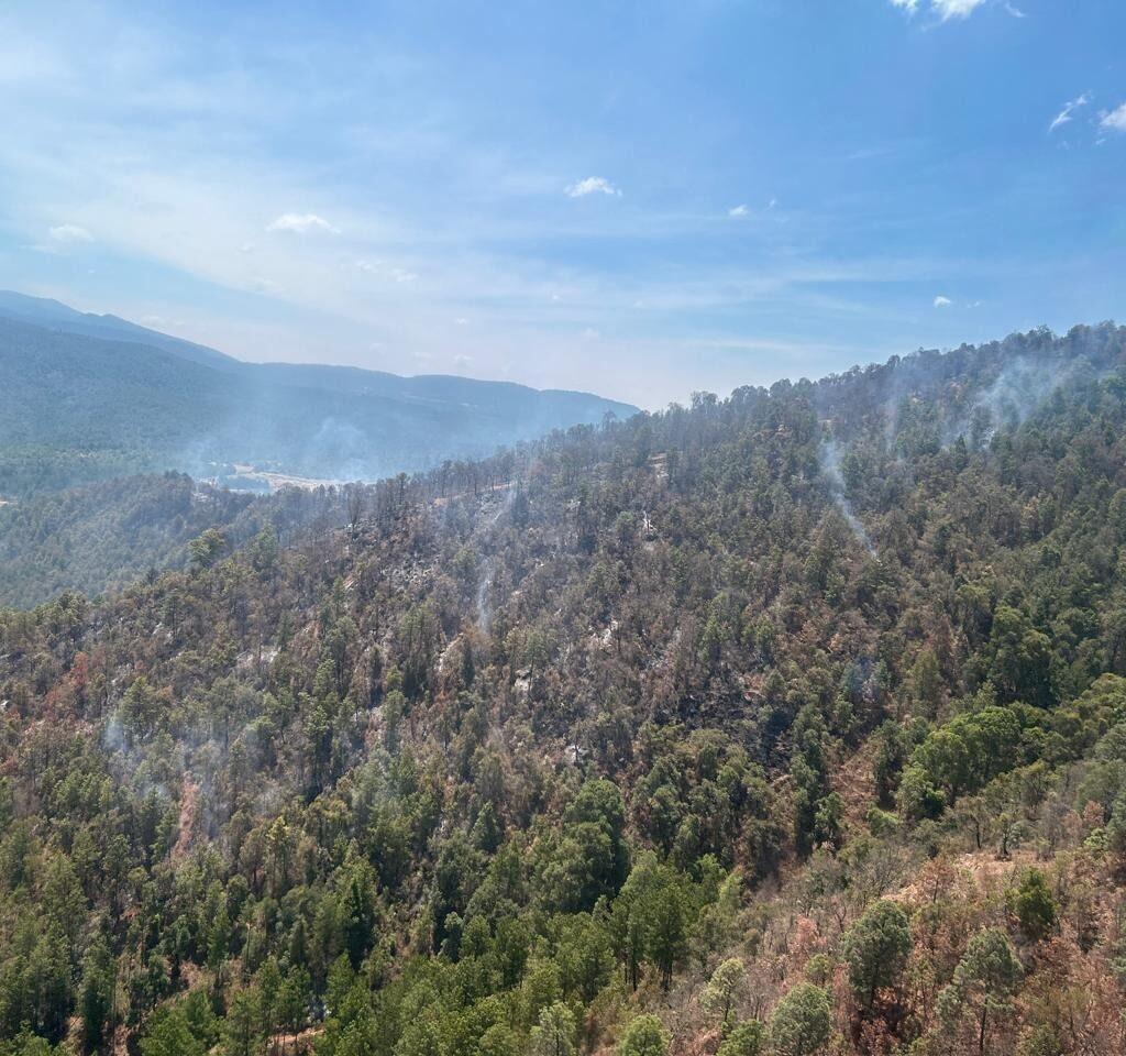 Apagan incendio forestal en Queréndaro gracias a helicóptero con helibalde. Con ayuda del helicóptero con helibalde se logró controlar y apagar en su totalidad