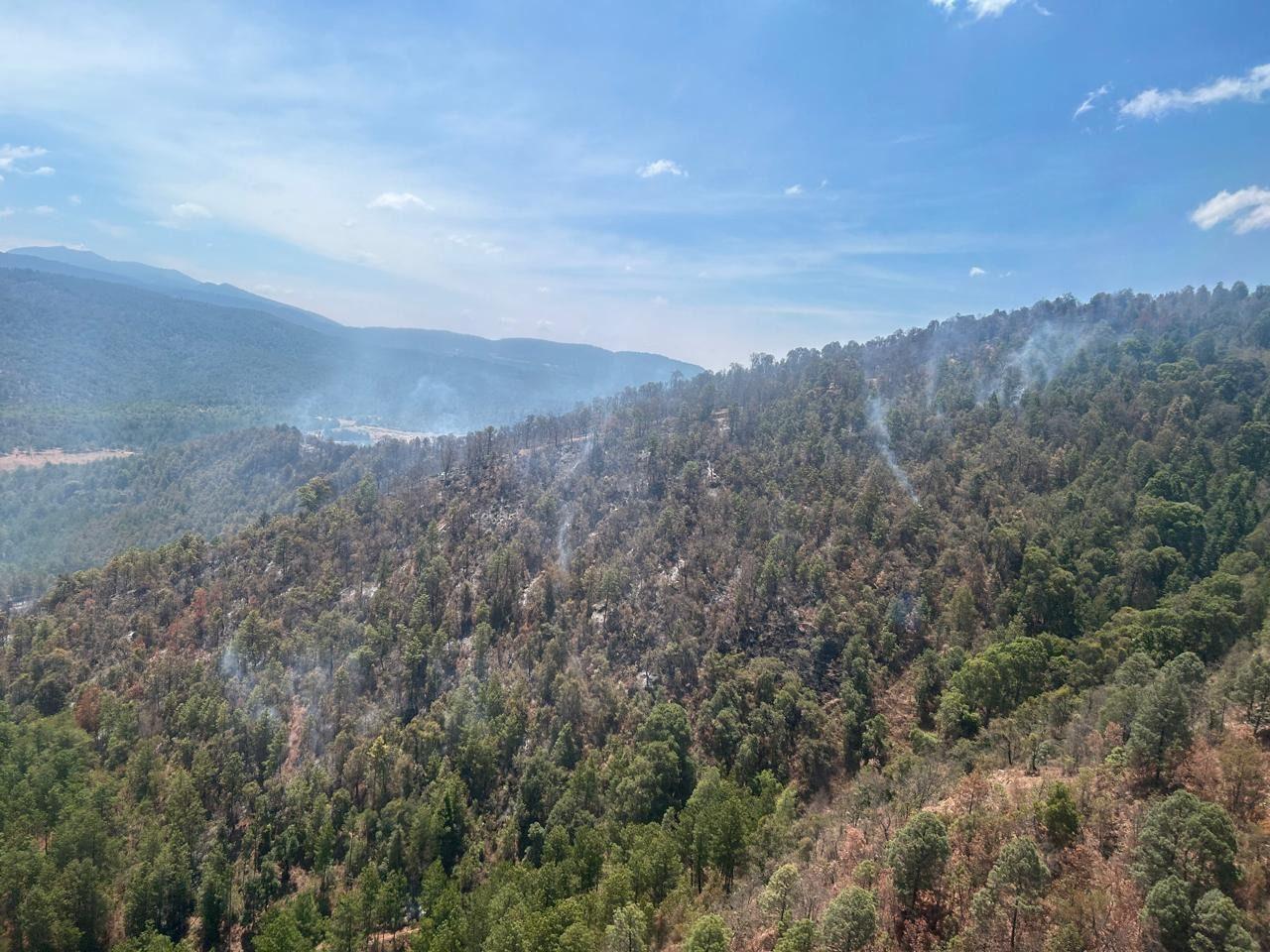 Apagan incendio forestal en Queréndaro gracias a helicóptero con helibalde. Con ayuda del helicóptero con helibalde se logró controlar y apagar en su totalidad