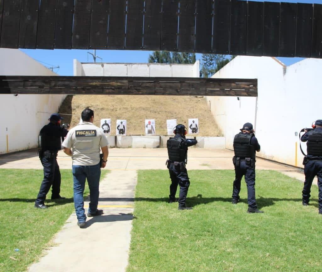 Policía auxiliar