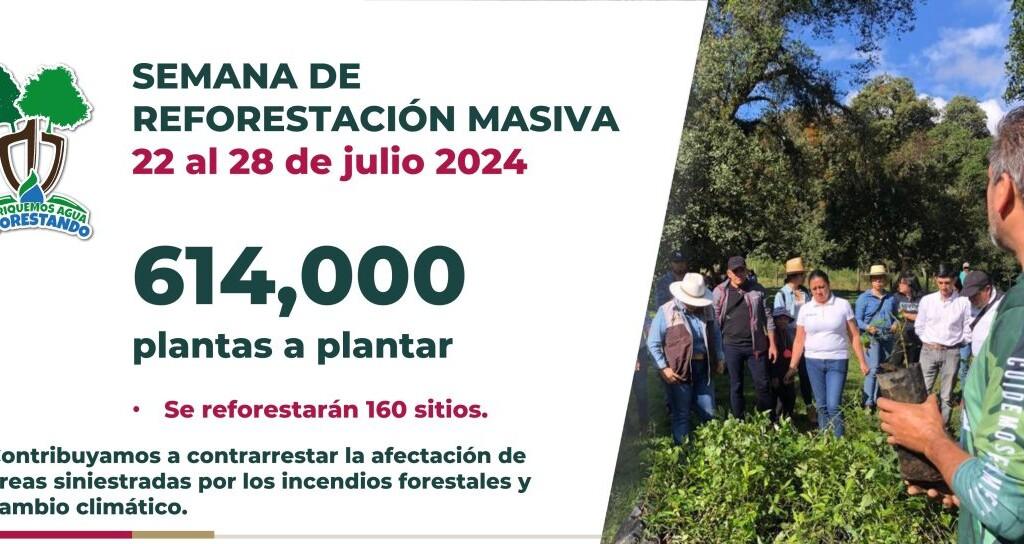 Apuesta Veracruz por la restauración forestal ante cambio climático. Frente a la lección que la naturaleza nos ha dado este año, desde el Gob