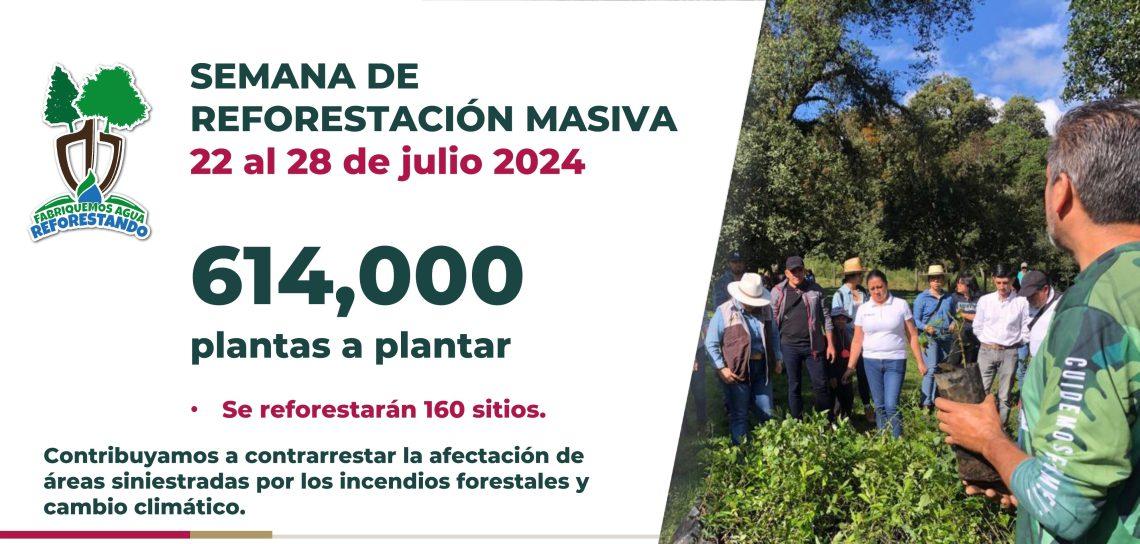 Apuesta Veracruz por la restauración forestal ante cambio climático. Frente a la lección que la naturaleza nos ha dado este año, desde el Gob