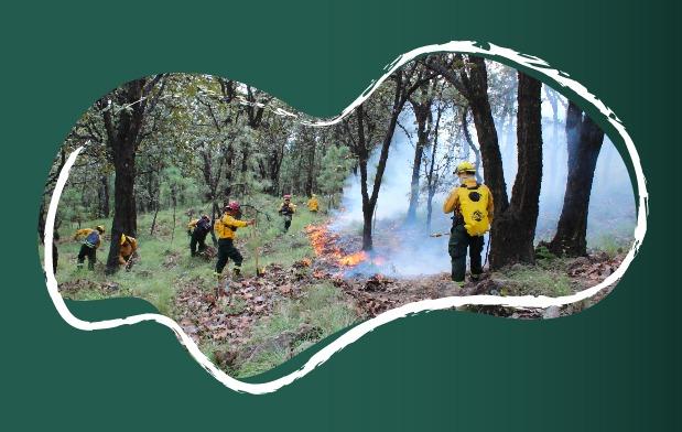 México se fortalece en el combate a incendios forestales. Año con año, la Comisión Nacional Forestal y la Coordinación