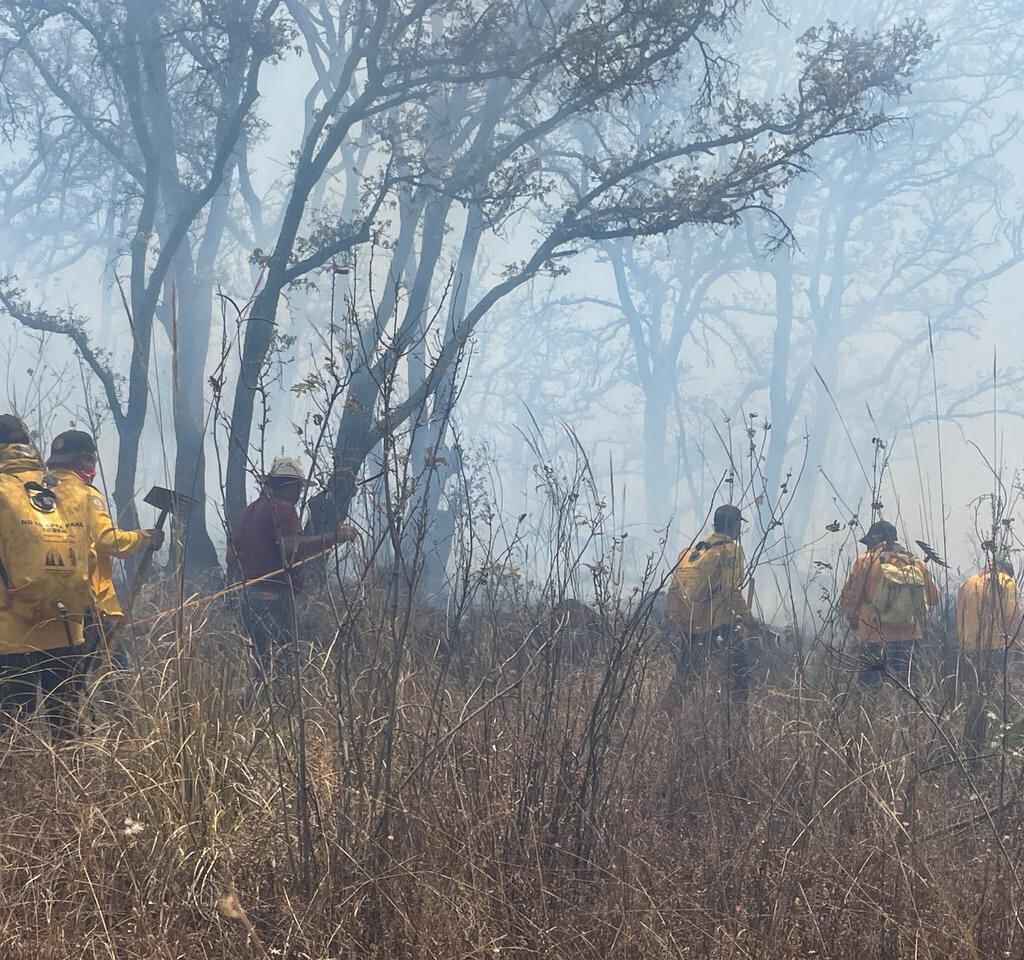 Se atienden 7 incendios forestales en Michoacán. A través de las brigadas interinstitucionales, este domingo se atienden de manera puntual siete