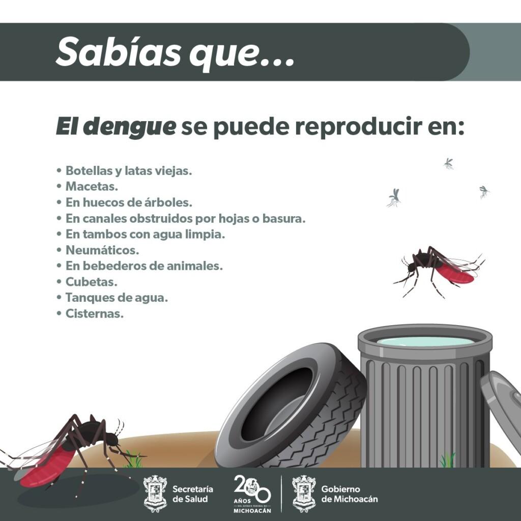 Conoce los síntomas del dengue para pedir atención médica inmediata