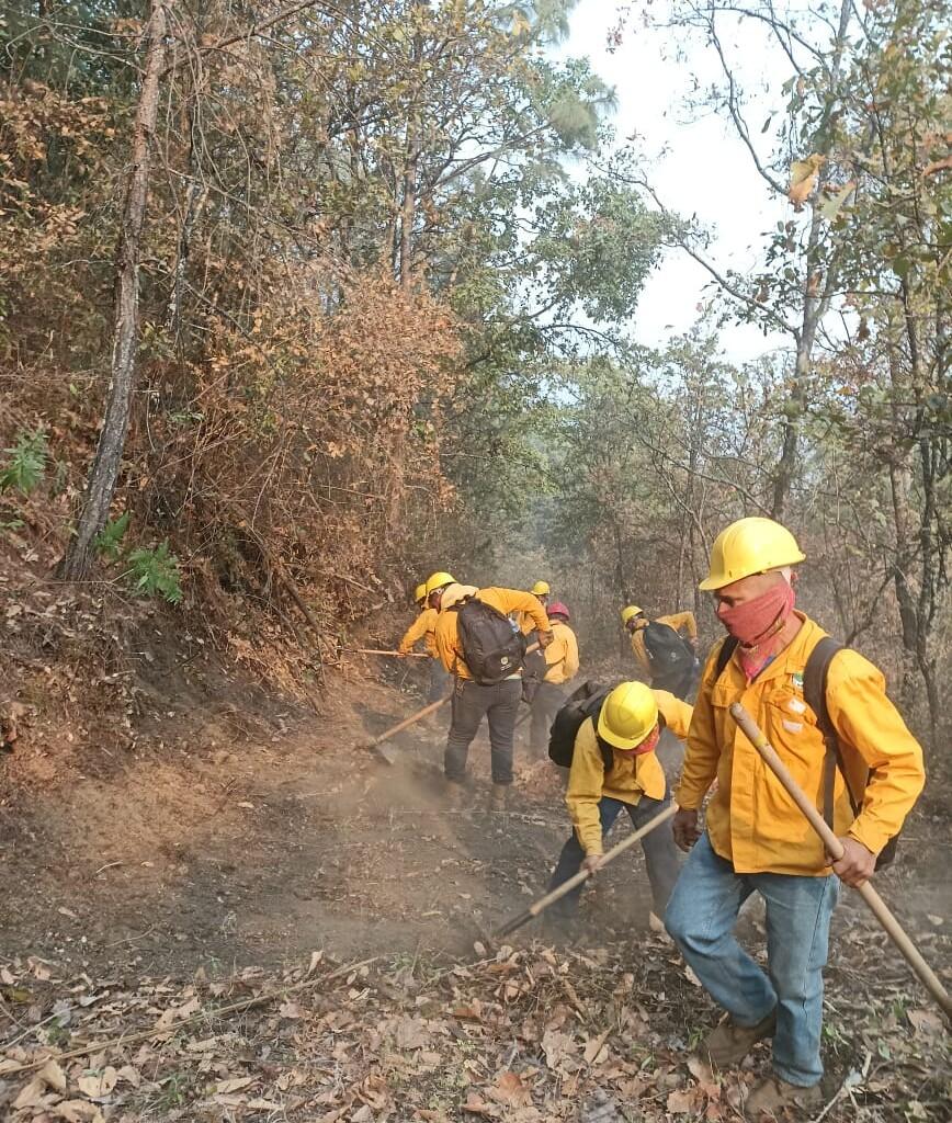 Logran contener un 80 % el incendio forestal en Uruapan. El Centro Estatal del Manejo del Fuego reporta un 80 por ciento