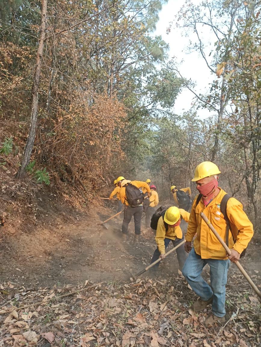 Logran contener un 80 % el incendio forestal en Uruapan. El Centro Estatal del Manejo del Fuego reporta un 80 por ciento