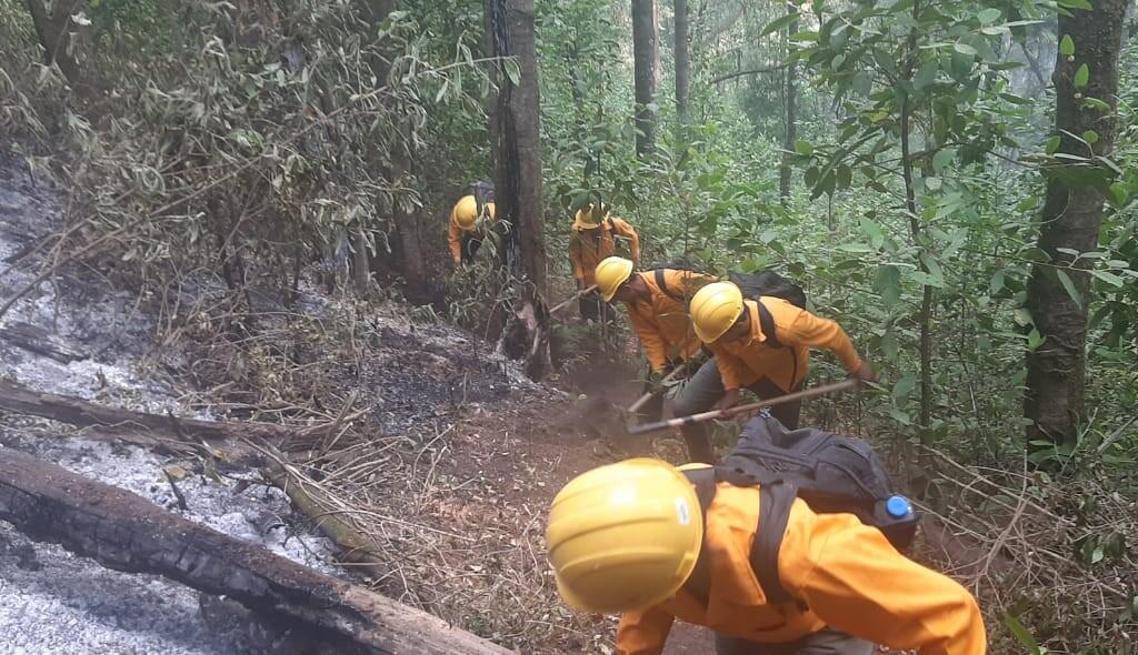 Brigadistas controlan incendio forestal en Morelia y atienden 9 más en otros municipios. La Comisión Forestal de Michoacán (Cofom) informó que fue controlado el incendio