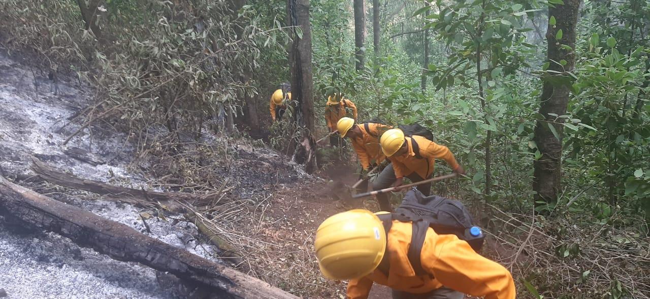 Brigadistas controlan incendio forestal en Morelia y atienden 9 más en otros municipios. La Comisión Forestal de Michoacán (Cofom) informó que fue controlado el incendio